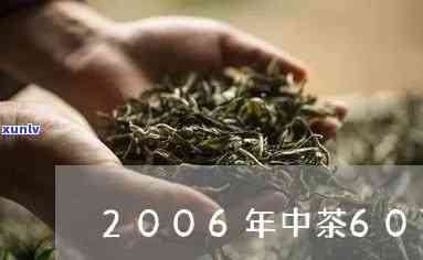 2006年中茶五大经典：价格表与全年资料全览