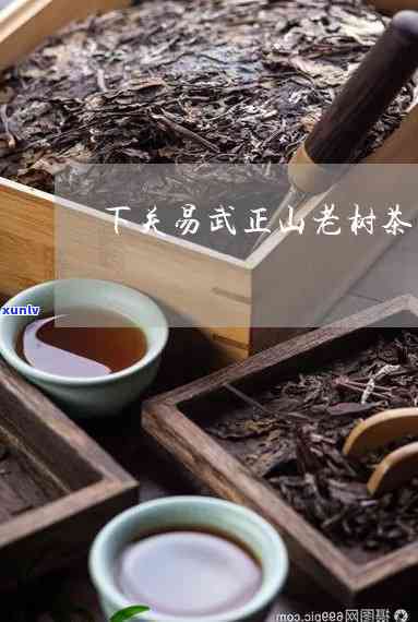 下关易武正山老树茶，探索云南普洱茶的韵味：下关易武正山老树茶的魅力解析