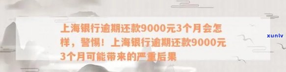 上海银行逾期还款9000元3个月会怎样，逾期9000元三个月未还，上海银行将采用何种措？