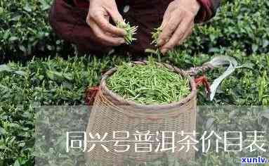 百年同兴号圆茶价格-百年同兴号和茶叶价格