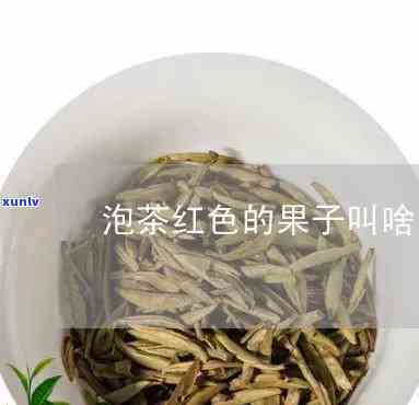 一种泡茶的红色果子-一种泡茶的红色果子菱形