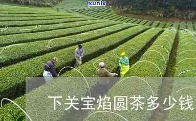 2006年下关宝焰圆茶价格及2003年紧茶价格对比