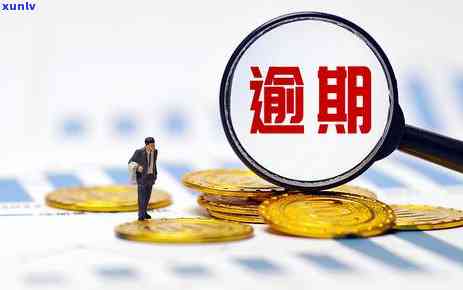 光大逾期怎样只还本金，解决光大逾期疑问：怎样仅偿还本金？