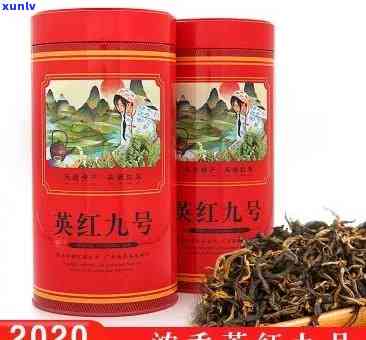 英红九号红茶：最贵价格及品种一览