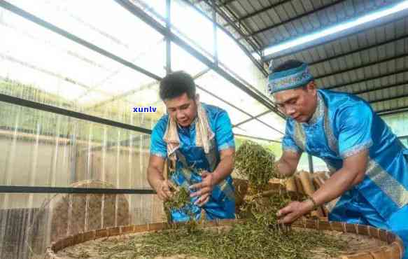 雨林古树红茶160克：价格表一览