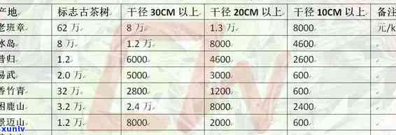 2021年新茶叶价格多少钱一斤？最新行情走势解析