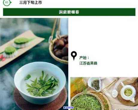 2021年新茶价格-2020新茶价格