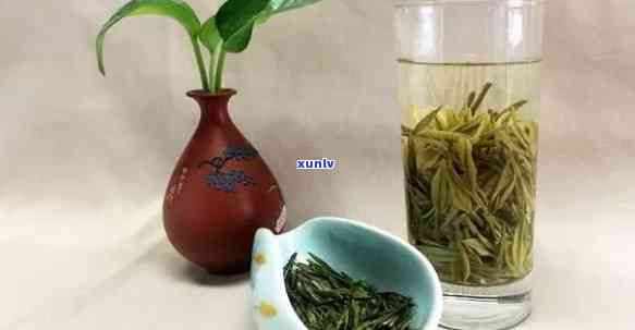 天目湖茗茶：功效、作用及禁忌全解析