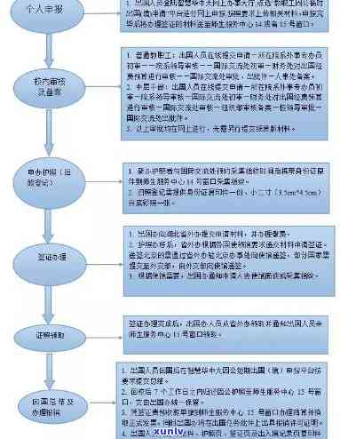 上海出境申报全流程指南