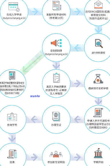 上海出境申报全流程指南