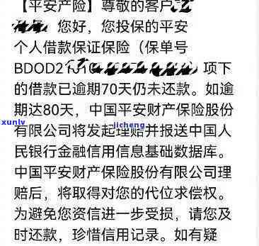 平安贷逾期一小时的作用：全面解析与解决  