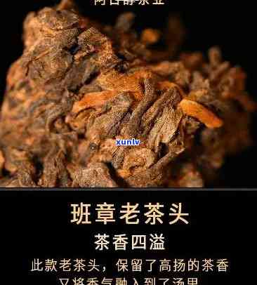 古树老茶头多少钱一斤？价格查询