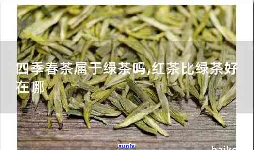 宜兴四春红茶价格多少，了解宜兴四春红茶的价格是多少？