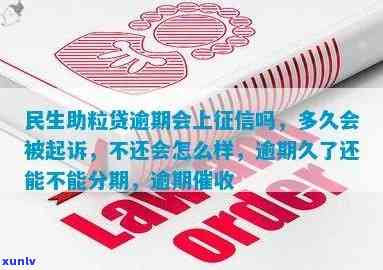 民生助粒贷逾期多久会被起诉，民生助粒贷：逾期多久会面临被起诉的风险？