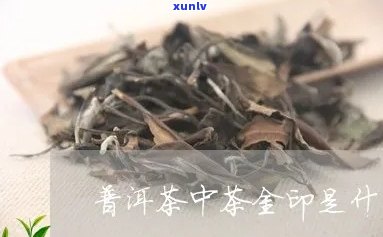 中茶金印是什么档次-中茶 金印