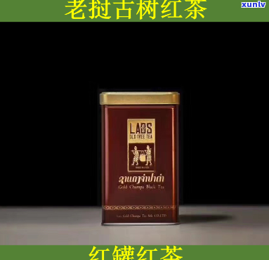 金占芭古树红茶价格-金占芭古树红茶价格黑铁罐红茶