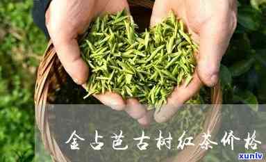 金占芭古树红茶价格-金占芭古树红茶价格黑铁罐红茶