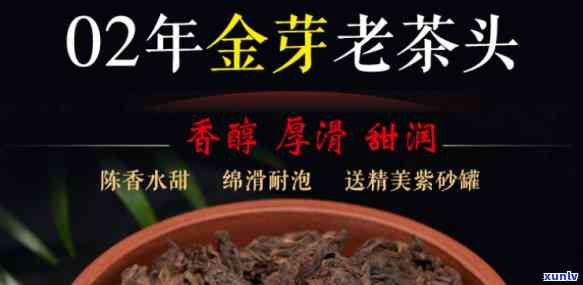 金芽老茶头是什么茶-金芽老茶头是什么茶叶