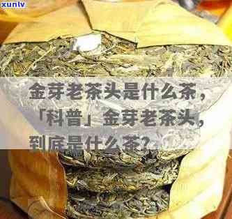 金芽老茶头是什么茶-金芽老茶头是什么茶叶