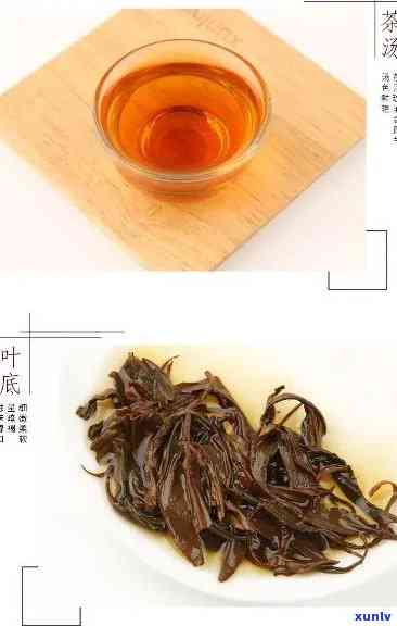 塔鼎红有机红茶价格-塔鼎红有机绿茶价格