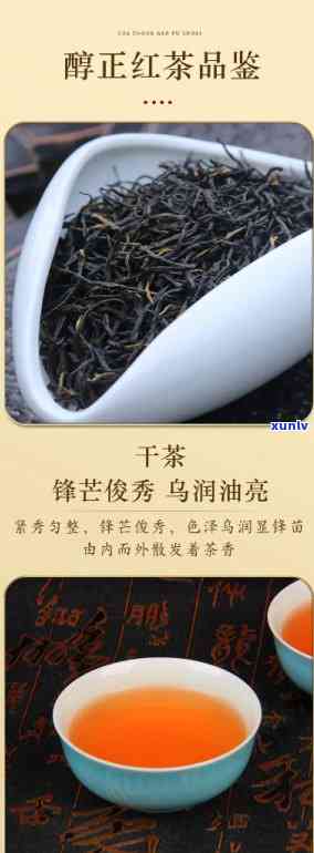 门红茶金针，品味黄山神韵，探寻门红茶金针的魅力