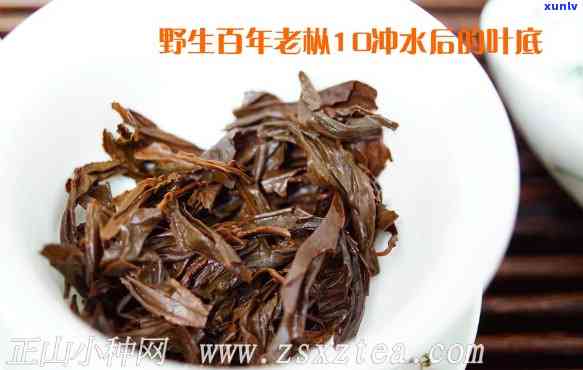 桐木关8880老枞红茶，品味醇厚，尽在桐木关8880老枞红茶