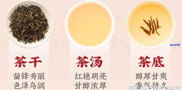 比较黄牌精选红茶与润红茶：哪种更好？有何区别？