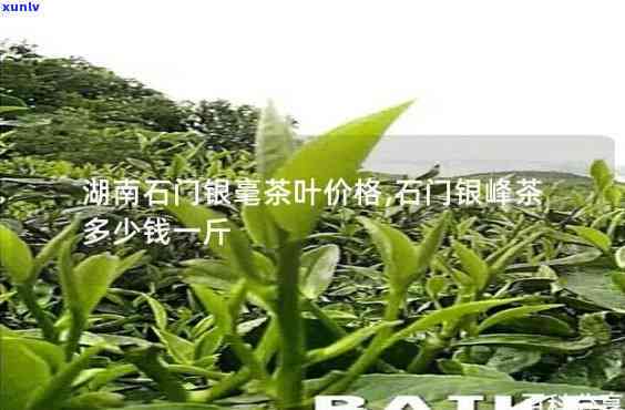 奇兰茶叶有什么功效-奇兰茶叶有什么功效和作用