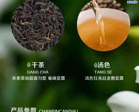 英德积庆里红茶官网：了解红茶价格与品质