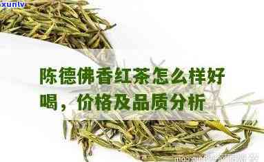 陈德佛香红茶价格-陈德佛香红茶价格多少