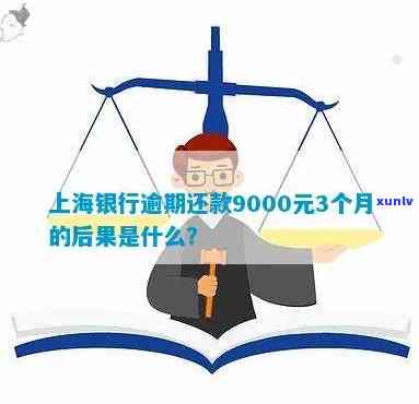 上海银行逾期还款9000元3个月会怎样，逾期还款9000元3个月，上海银行会有何结果？