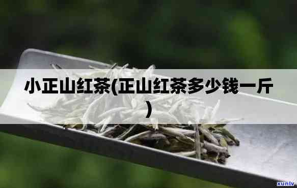 正山堂红茶多少钱一斤？最新价格全揭秘！