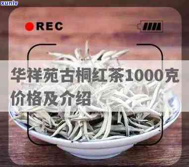 华祥苑250克古桐红茶：单盒/1000克价格全解析