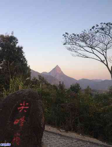 海南尖峰岭攻略：独自游玩全指南，深度探索神秘景区