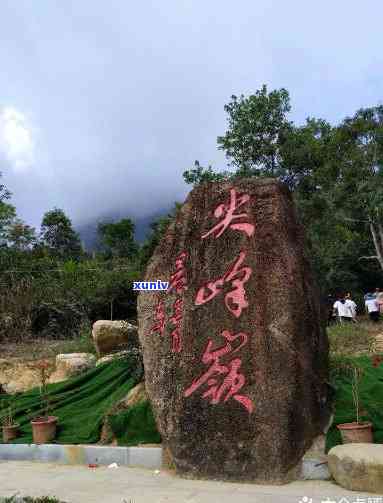 海南尖峰岭攻略：独自游玩全指南，深度探索神秘景区