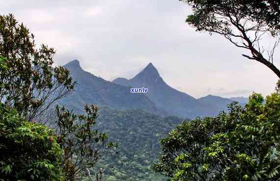 海南尖峰岭在哪儿？寻觅中国热带雨林的瑰宝