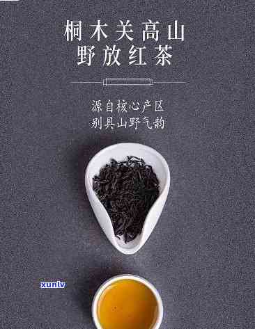 武夷山桐木关红茶价格表，最新！武夷山桐木关红茶价格表一览