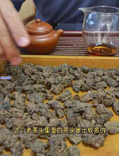 老茶婆与老茶头有何区别？深入了解两者间的不同之处