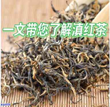 红韵滇红茶：价格与品鉴全解析