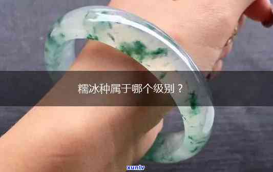 冰糯种的价格一般在多少钱，探秘冰糯种价格：一般在多少元左右？