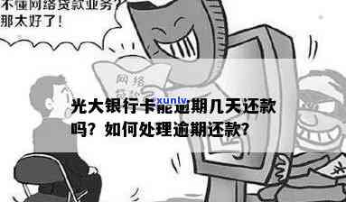 攻略：逾期信用卡不支付利息的合法途径