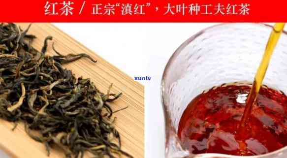 大叶种工夫红茶价格-大叶种工夫红茶价位