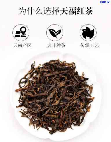 大叶种工夫红茶价格-大叶种工夫红茶价位