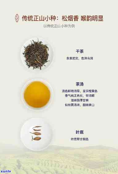 厦门华祥苑红茶价格-厦门华祥苑红茶价格表