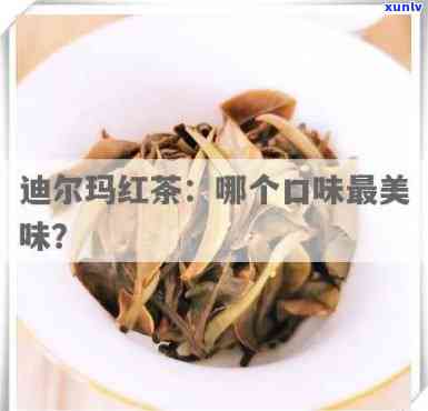 如何将迪尔玛红茶泡制得既美味又健？