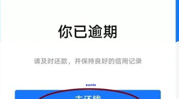 赊呗逾期一天上吗，解答疑惑：赊呗逾期一天是不是会上？