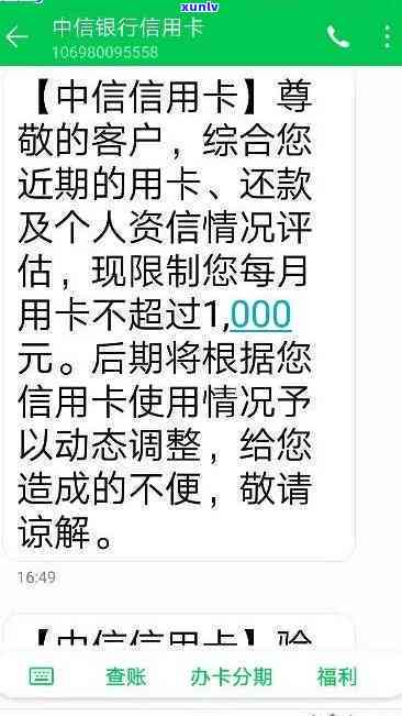 冰岛普洱茶叶种类与价位详解，了解茶底和品质 | 冰岛普洱茶叶信息全解