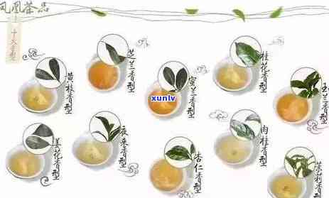 门红茶被芳香收购：事实还是谣言？