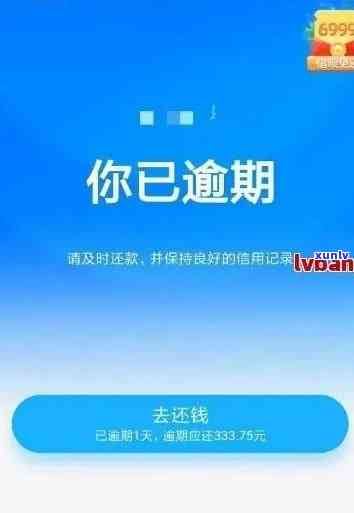 普洱茶对备孕及怀孕的影响：科学解析与建议