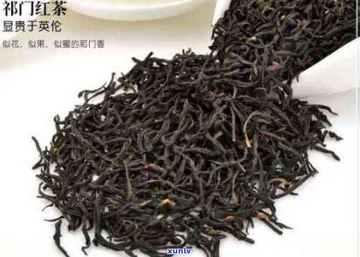 门红茶官网，探索世界著名红茶——门红茶，访问官方在线平台